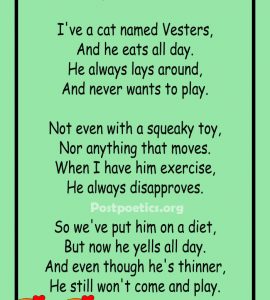 Funny Poems for Kid