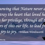 william wordsworth nature quotes