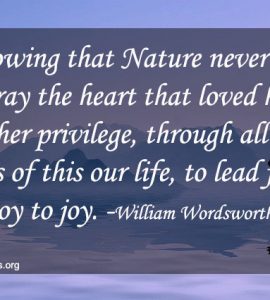 william wordsworth nature quotes