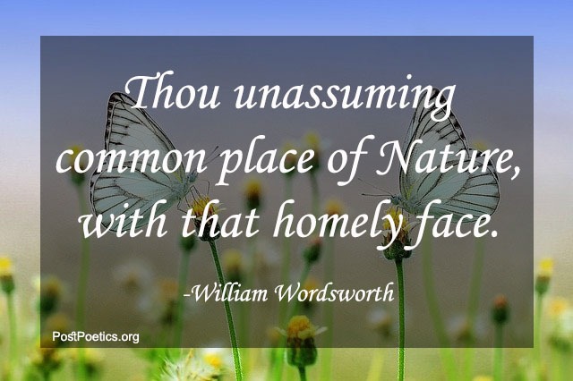 william wordsworth quotes about nature