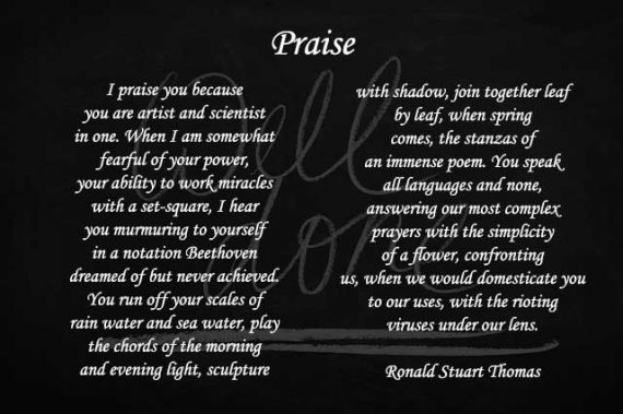 top-10-poems-of-praise-to-god-examples-of-praise-poems
