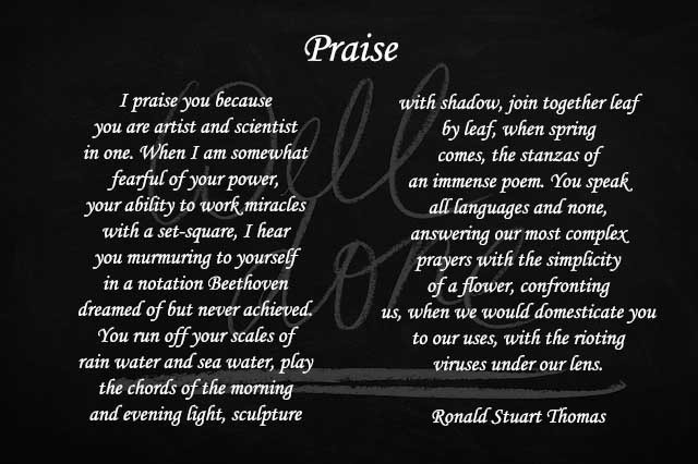 Top 10 Poems of Praise To God | Examples of Praise Poems