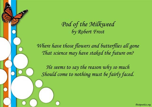 pod of the milkweed