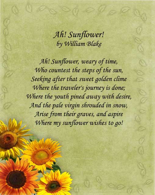 Ah! Sunflower, weary of time