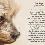 Dog poems love unconditional