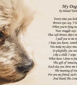 Dog poems love unconditional