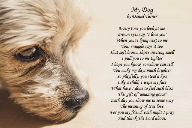 A Dog Has Died Poem Meaning