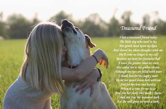 Grieving the loss of a dog poem