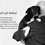 Loss of a dog poem short
