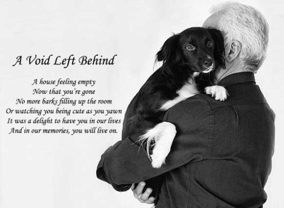 10 Short Loss of A Dog Poems | Pet Lose Quotes & Poems