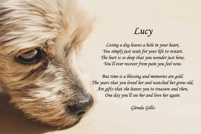 Lucy in heaven poem