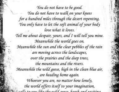 Mary oliver poems wild geese