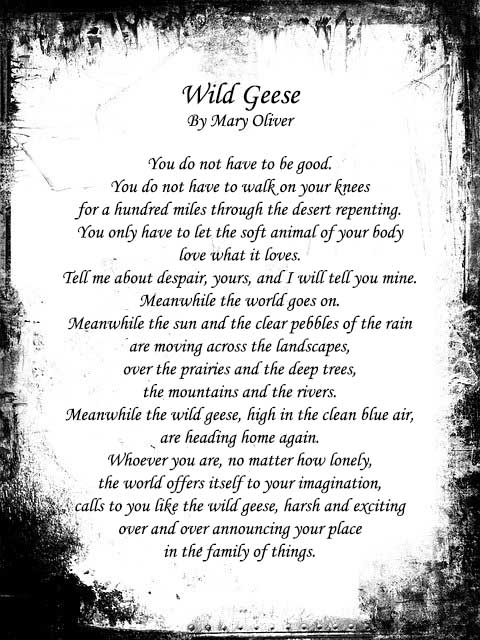 Mary oliver poems wild geese