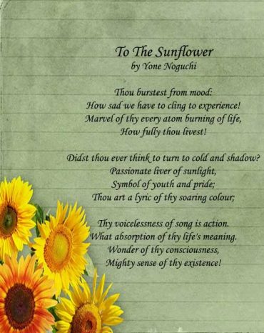 20 Short Sunflowers Poems, Quotes About Love and Life