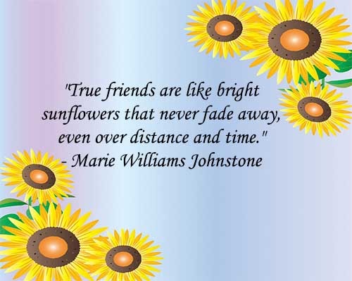 True friends are like bright sunflowers that never fade away, even over distance and time.