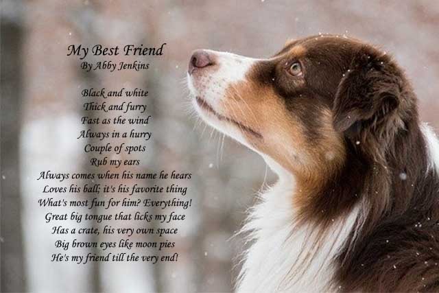 dog poems to owners
