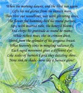hummingbird love poem