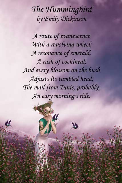 hummingbird poem emily dickinson