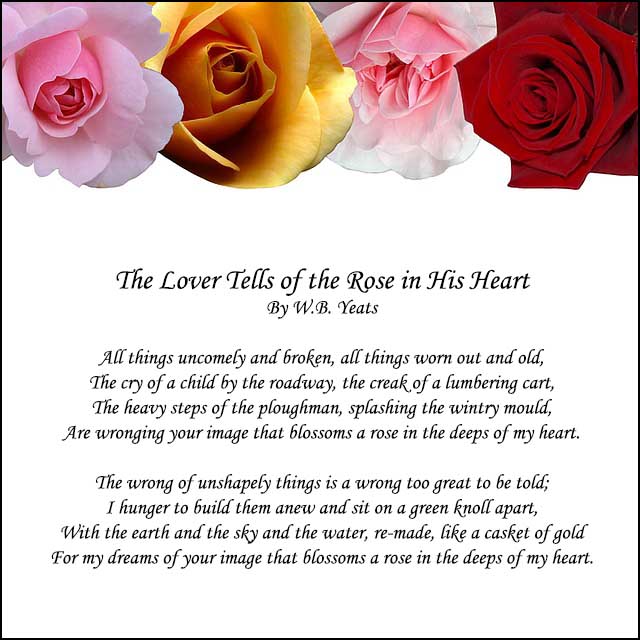 poems about roses and love