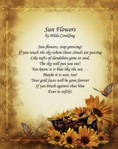 20 Short Sunflowers Poems, Quotes About Love and Life