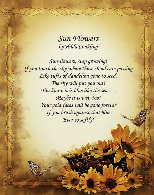 sunflower love poem