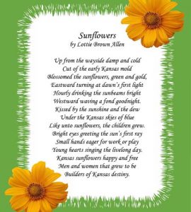 sunflower poems and quotes