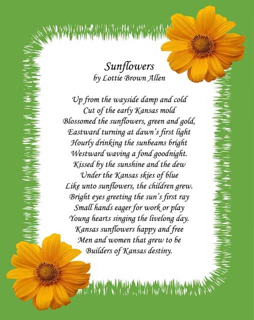 sunflower poems and quotes