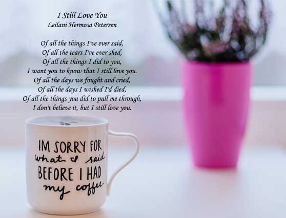 forgive-me-poems-for-my-wife
