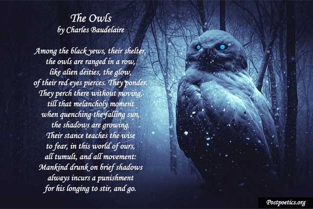 owl-poems-by-famous-poets