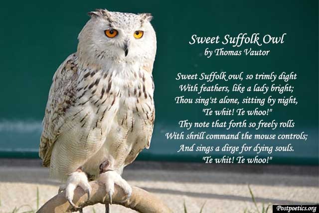 owl-poems-that-rhyme