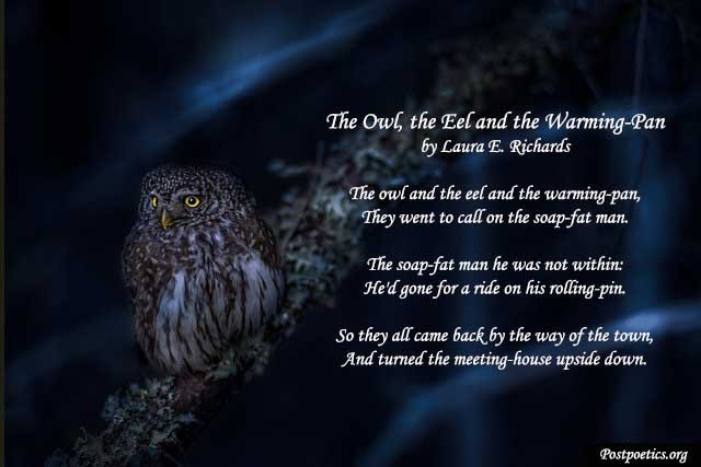 short-owl-poem