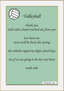 10 Famous Volleyball Poems for Inspiration That Rhyme